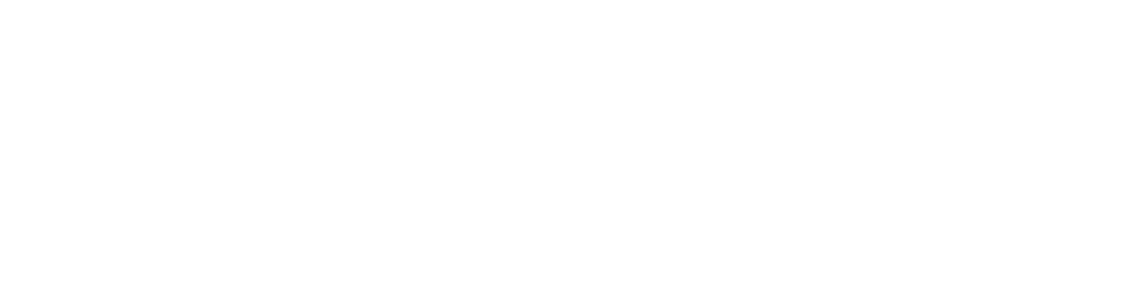 VRIIC-BLANCO-1024x258
